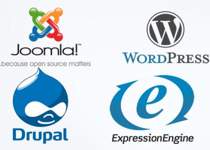 cms website development